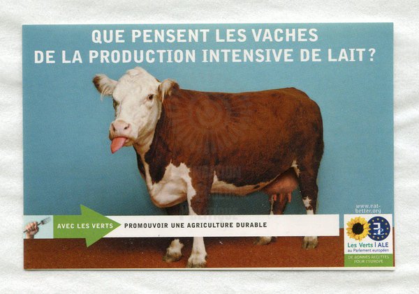 QUE PENSENT LES VACHES... (2003)